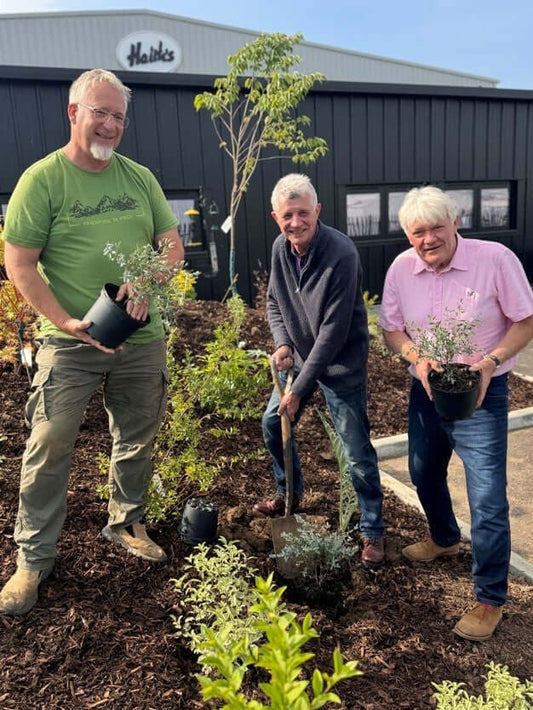 Honouring Budgie Breeders: Memorial Eucalyptus Trees Planted at Haith’s New HQ by David Haith, Martin, & Chris