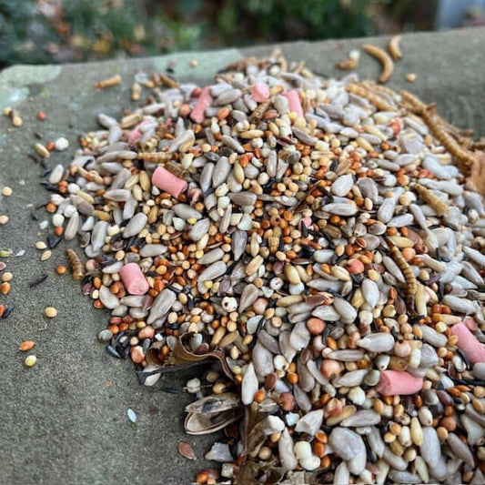 Medley™ - Super Bird Seed Blend – A Perfect Feast for Your Garden Birds - Haith's