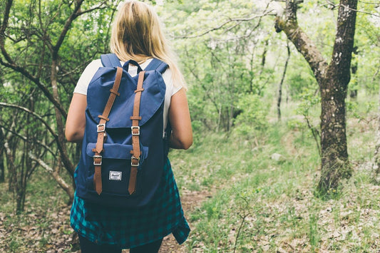 Mindfulness in Nature: Connecting with the Present Moment - Haith's