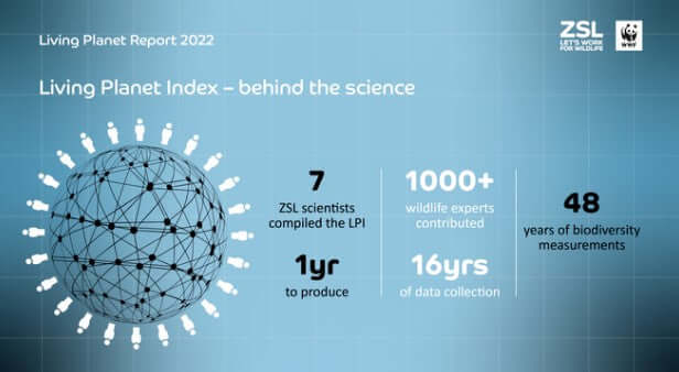 Our living planet in decline - Haith's