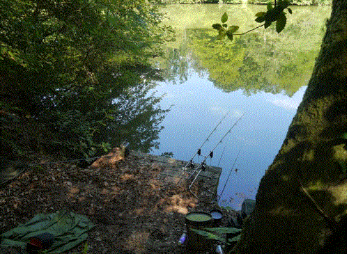 two fishing rods by the side of a lake