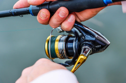 Preparing Haith’s Baits Fishing Ingredients: A Practical Guide for Anglers - Haith's UK