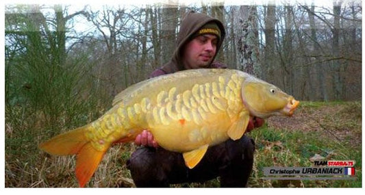 French fishing giant reeled in this giant carp