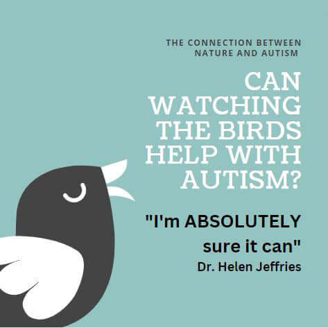 The connection between nature and autism: Can watching the birds help with autism - Haith's