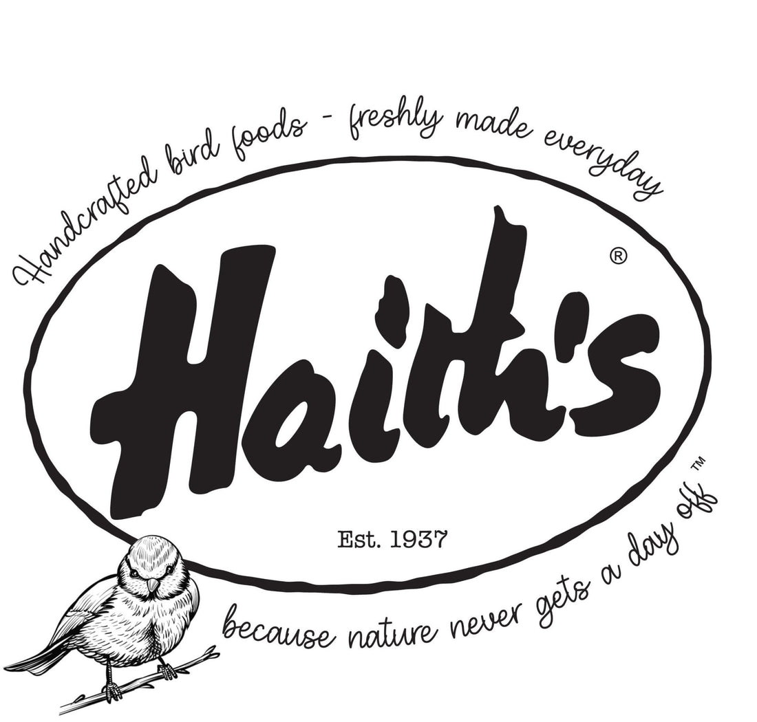 black and white Haith's logo