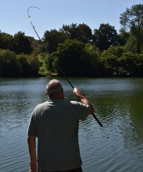 Tricks of the Tail: Advanced Fishing Techniques - Haith's