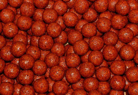 Image of Robin Red coloured boilies