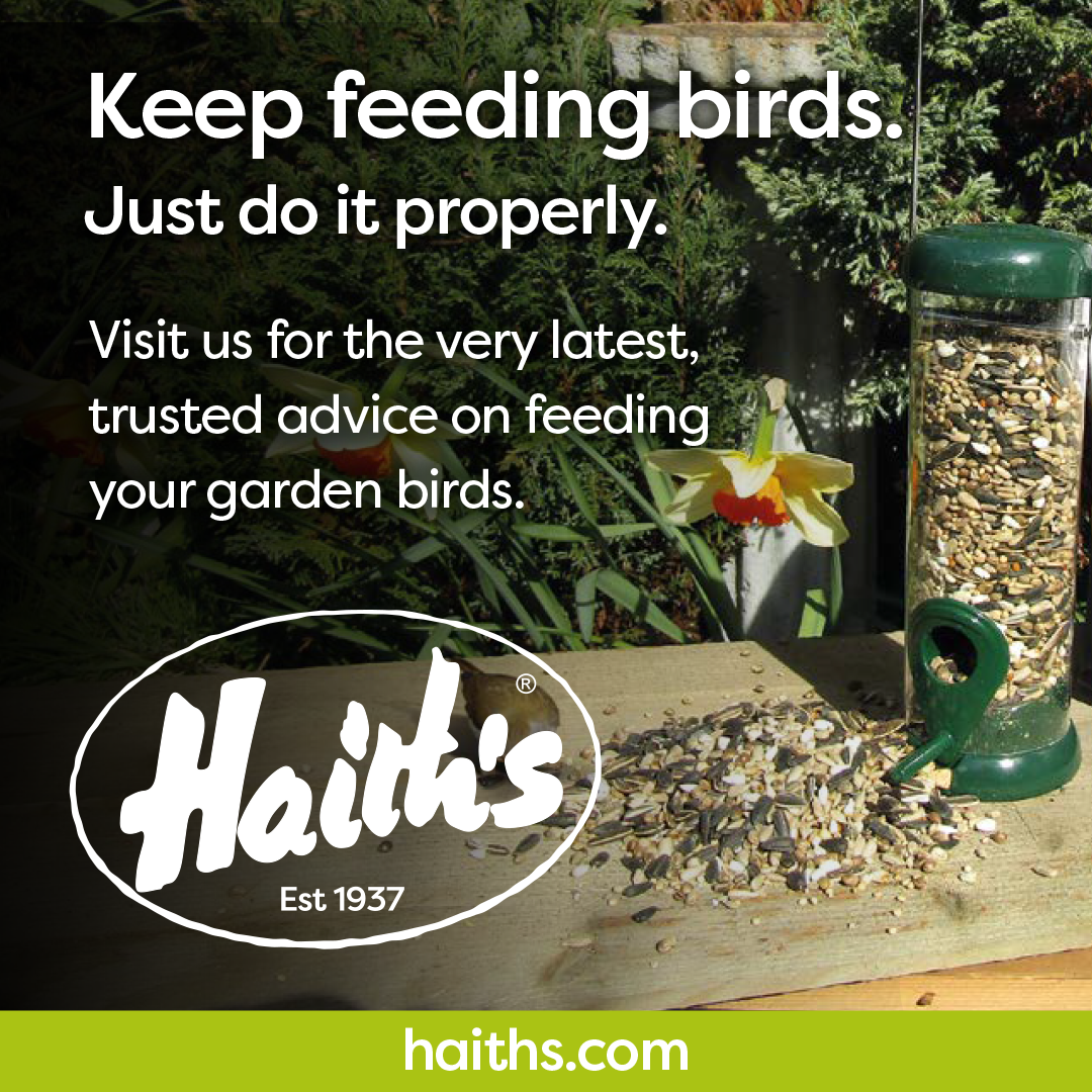 Wild Bird Food