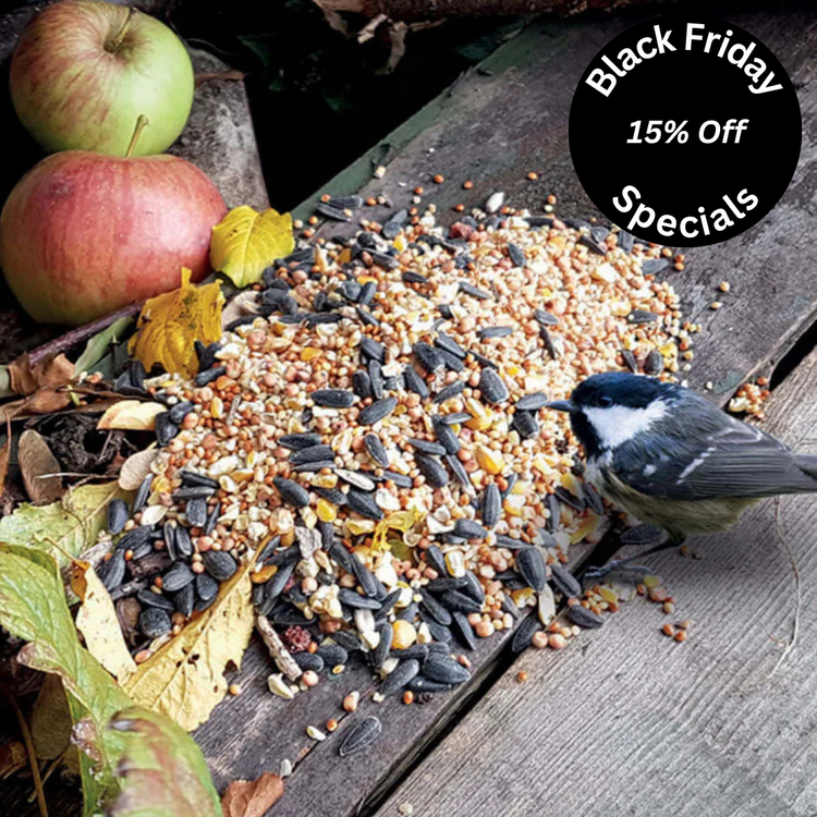 Black Friday wild bird food deals now live at Haith's. 