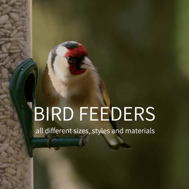 Bird Feeders for Every Garden