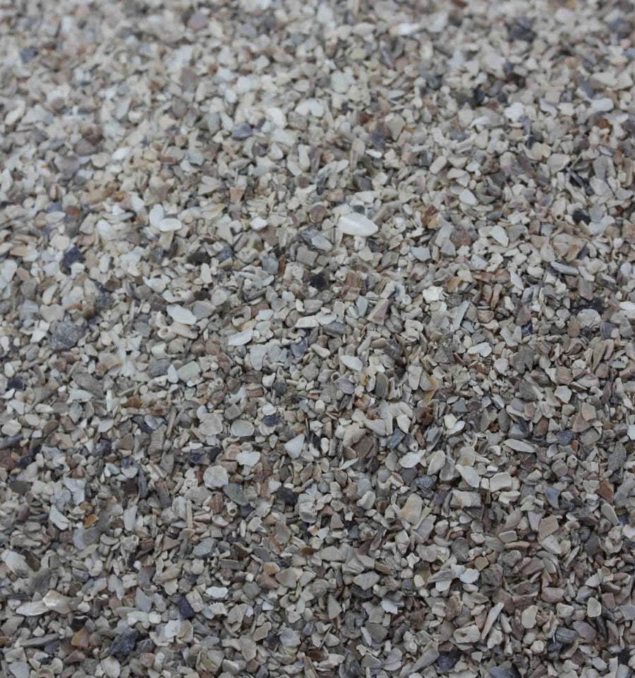 Bird grit and cuttlebone products