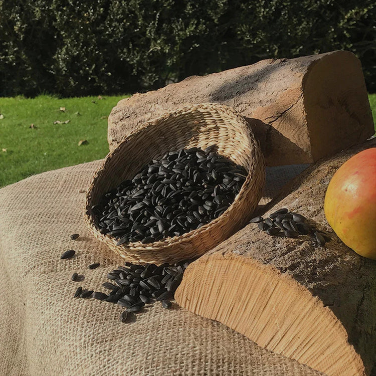 High-Quality Black Sunflower Seeds - Haith's