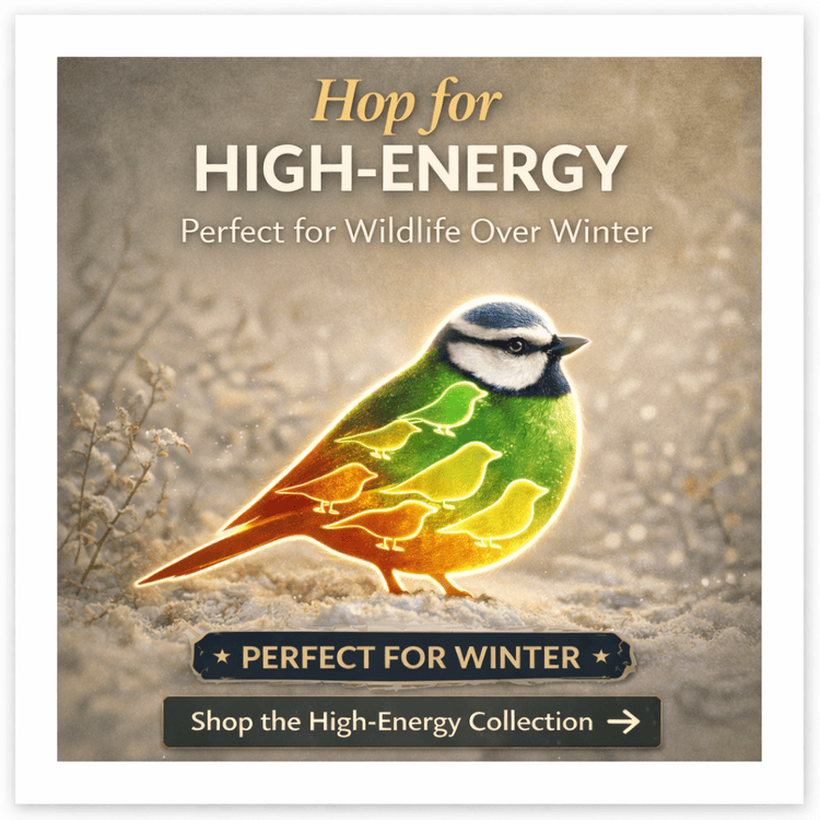 Hop for High-Energy Bird Food - Haith's UK