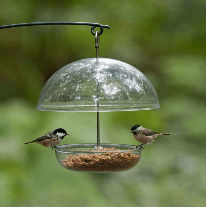 Buy Bird Food Feeders Seed Online Haith s Bird Food