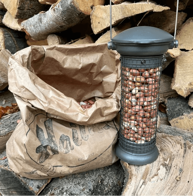 Peanut Bird Feeders