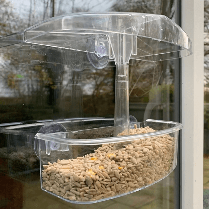 Buy bird feeders for window feeding of wild birds to prevent bird strikes. 