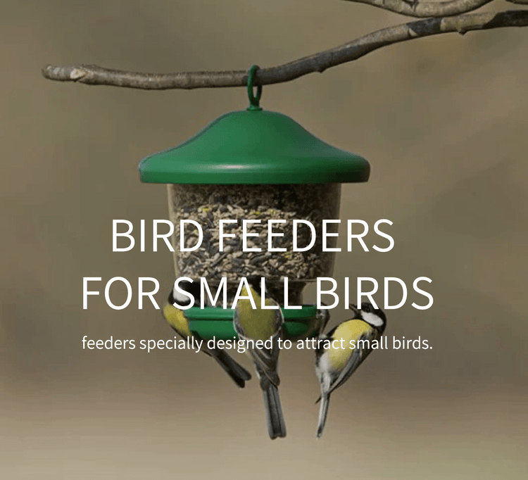 Bird Feeders for Small Birds