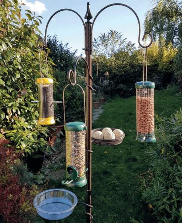 Buy bird feeding stations from Haith's. 