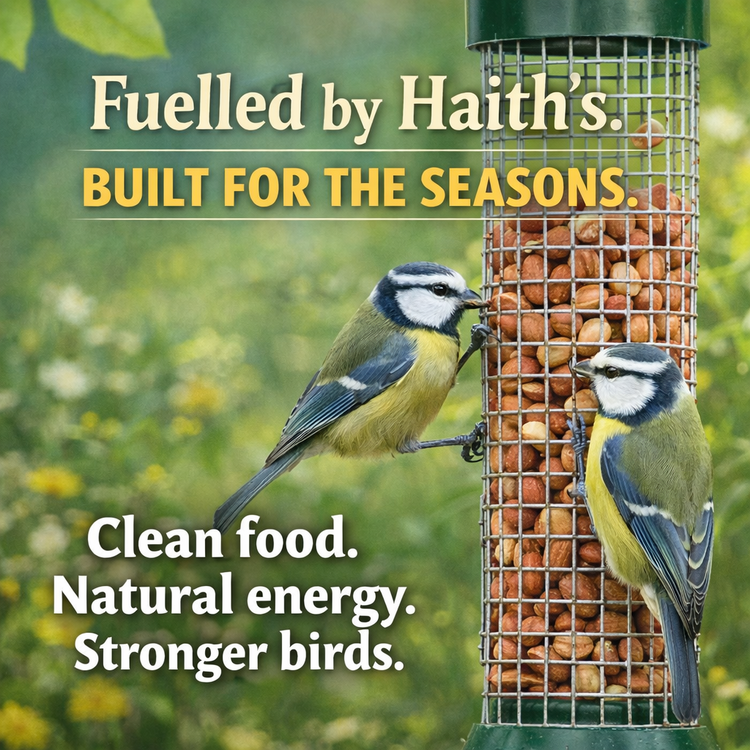 Peanuts for Birds – Safe, Aflatoxin-Tested Whole & Chopped Nuts - Haith's UK