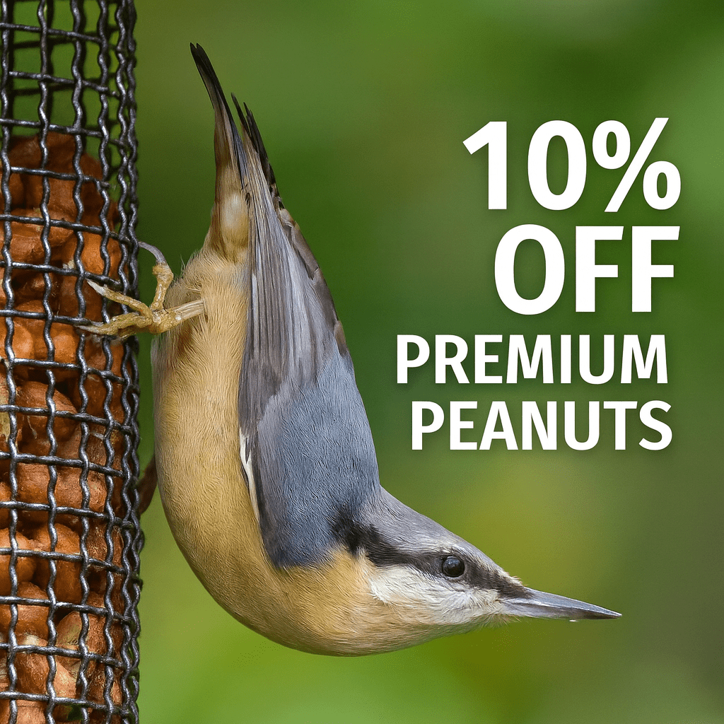 Peanuts for Wild Birds - Feed Well, Feed Safely - Haith's UK