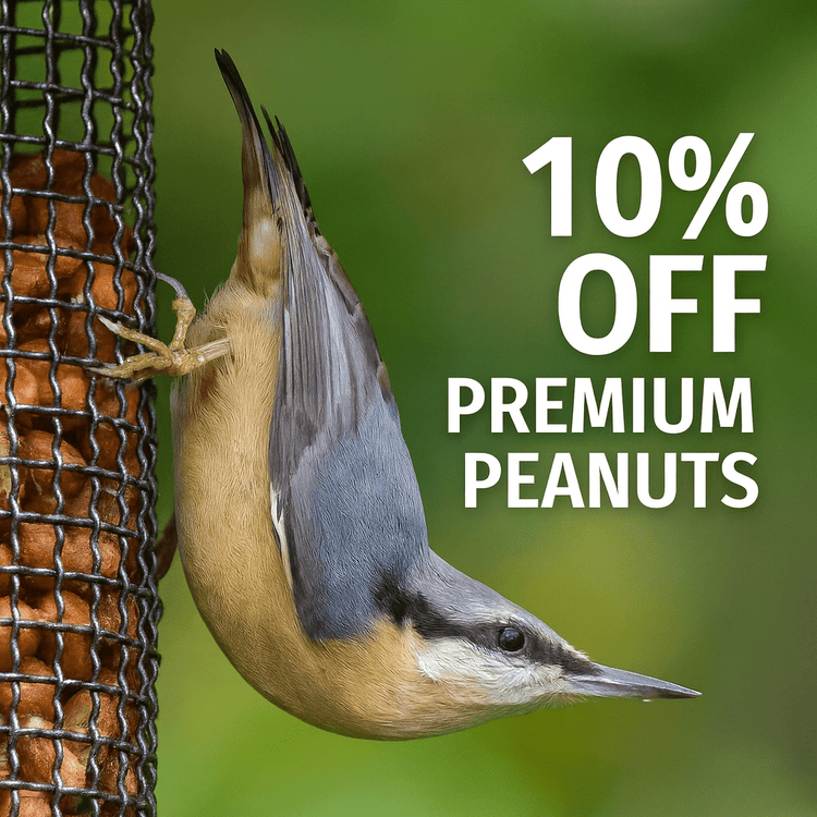 Peanuts for Wild Birds - Feed Well, Feed Safely - Haith's UK