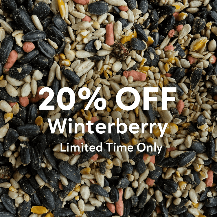 Save on top-rated wild bird seed, suets, and treats – updated weekly - Haith's UK