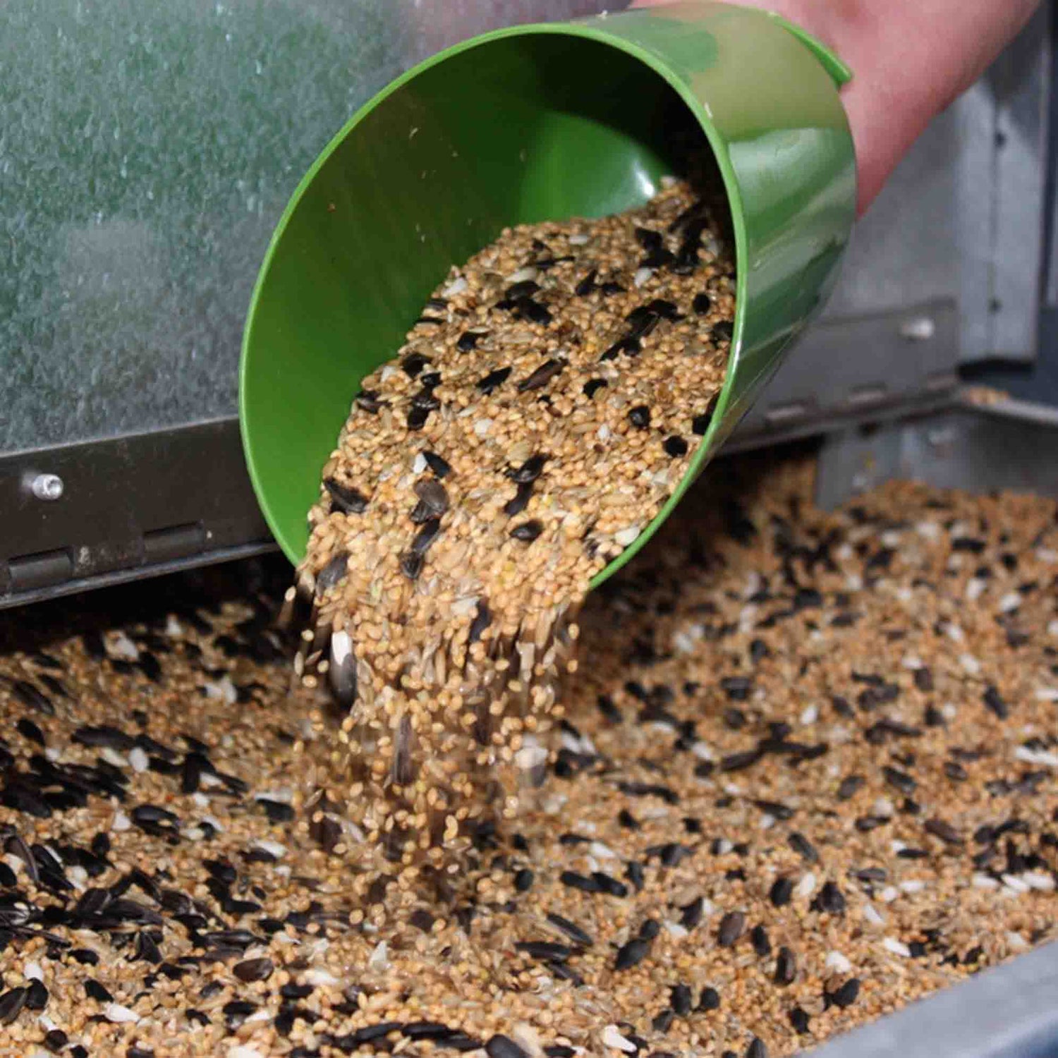 Bird seed scoop for filling bird feeders.