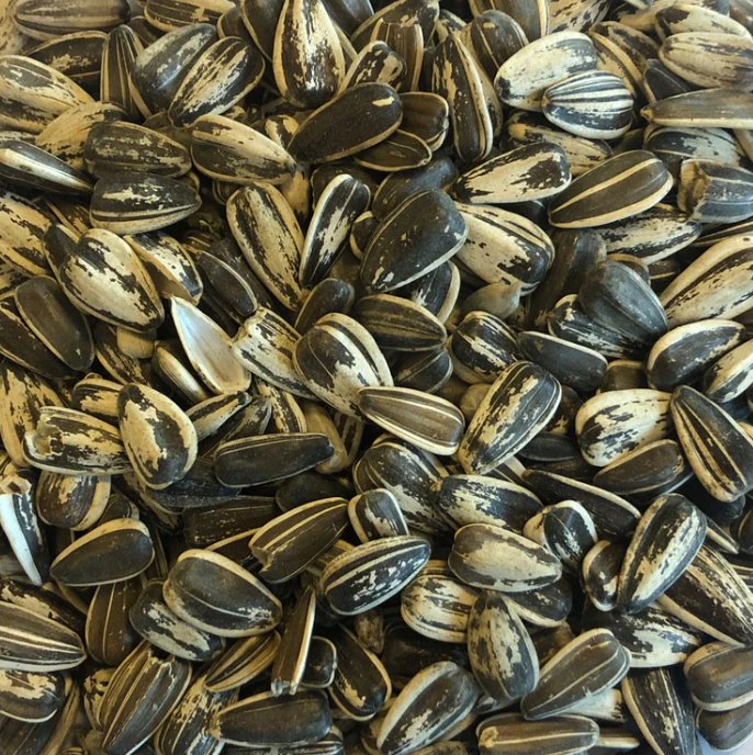 Sunflower seeds for cage and aviary birds