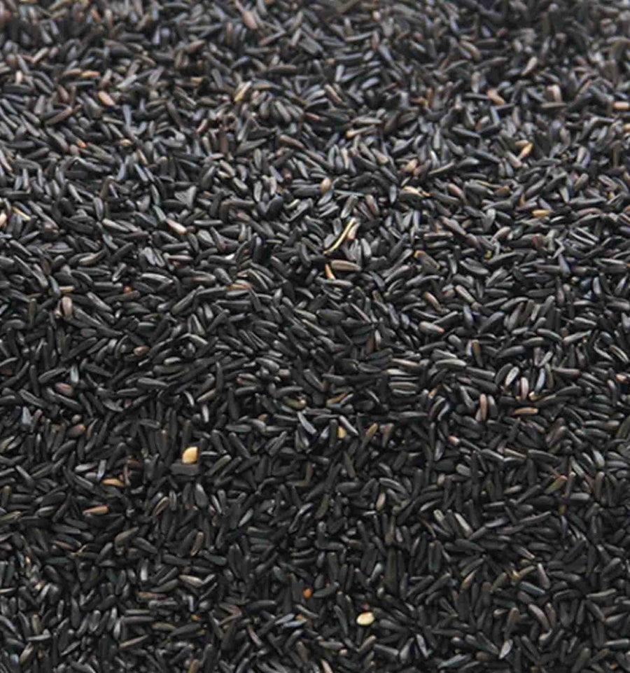 SuperClean straight seeds