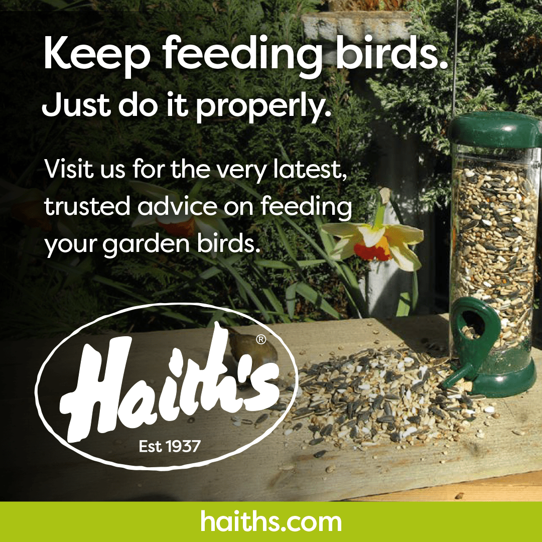 Wild bird food from Haith's