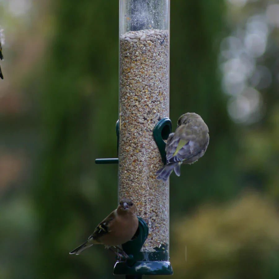 Wild Bird Seed - Haith's UK