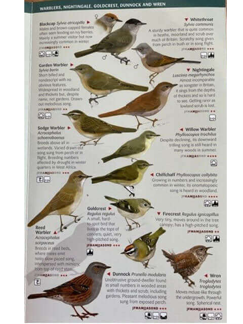 150 Birds You Need To Know Guide - Haith's