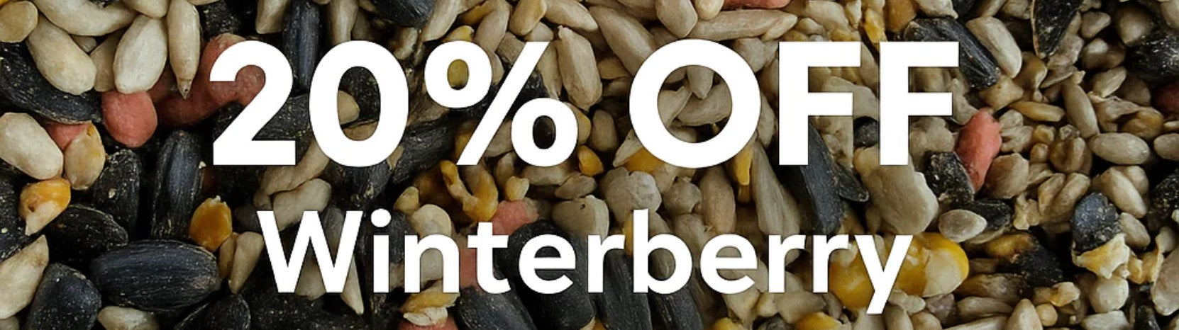 Winterberry wild bird food and autumn saving
