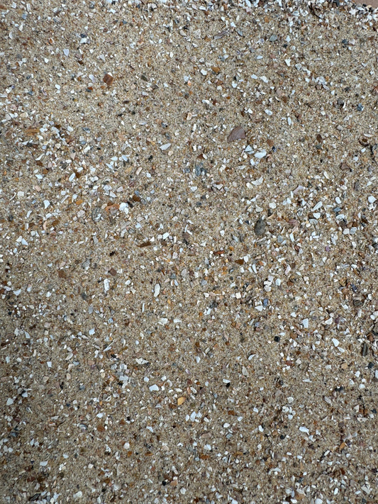 Bird Sand