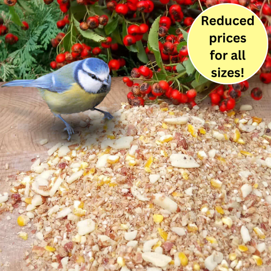 Beggar's Banquet™ - Soft Bird Food Mix