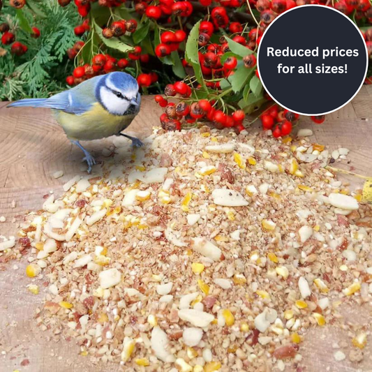 Beggar's Banquet™ - Soft Bird Food