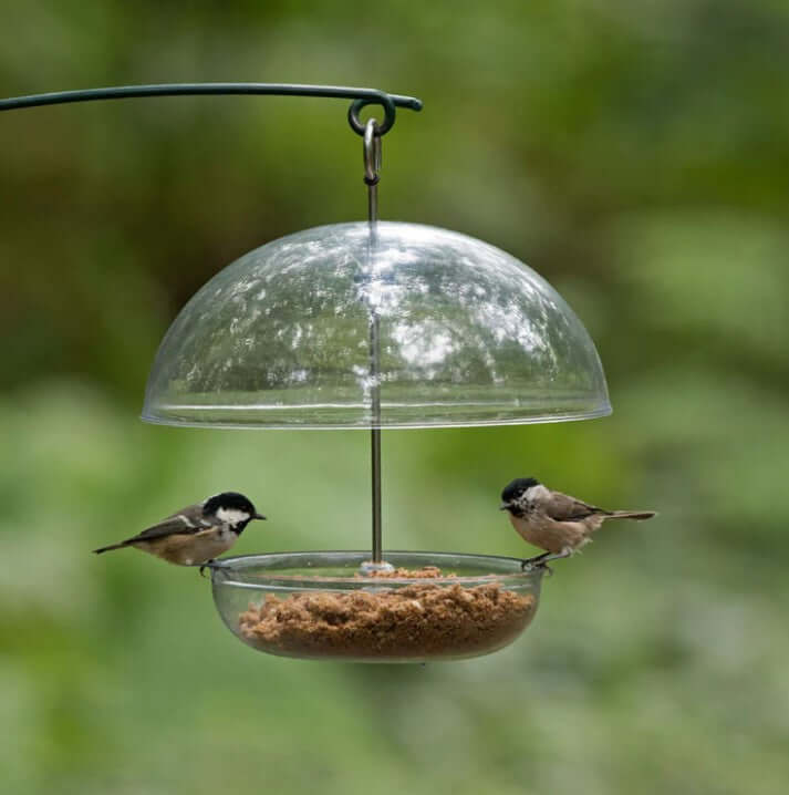 I Love Robins Soft Food Bird Feeder. 