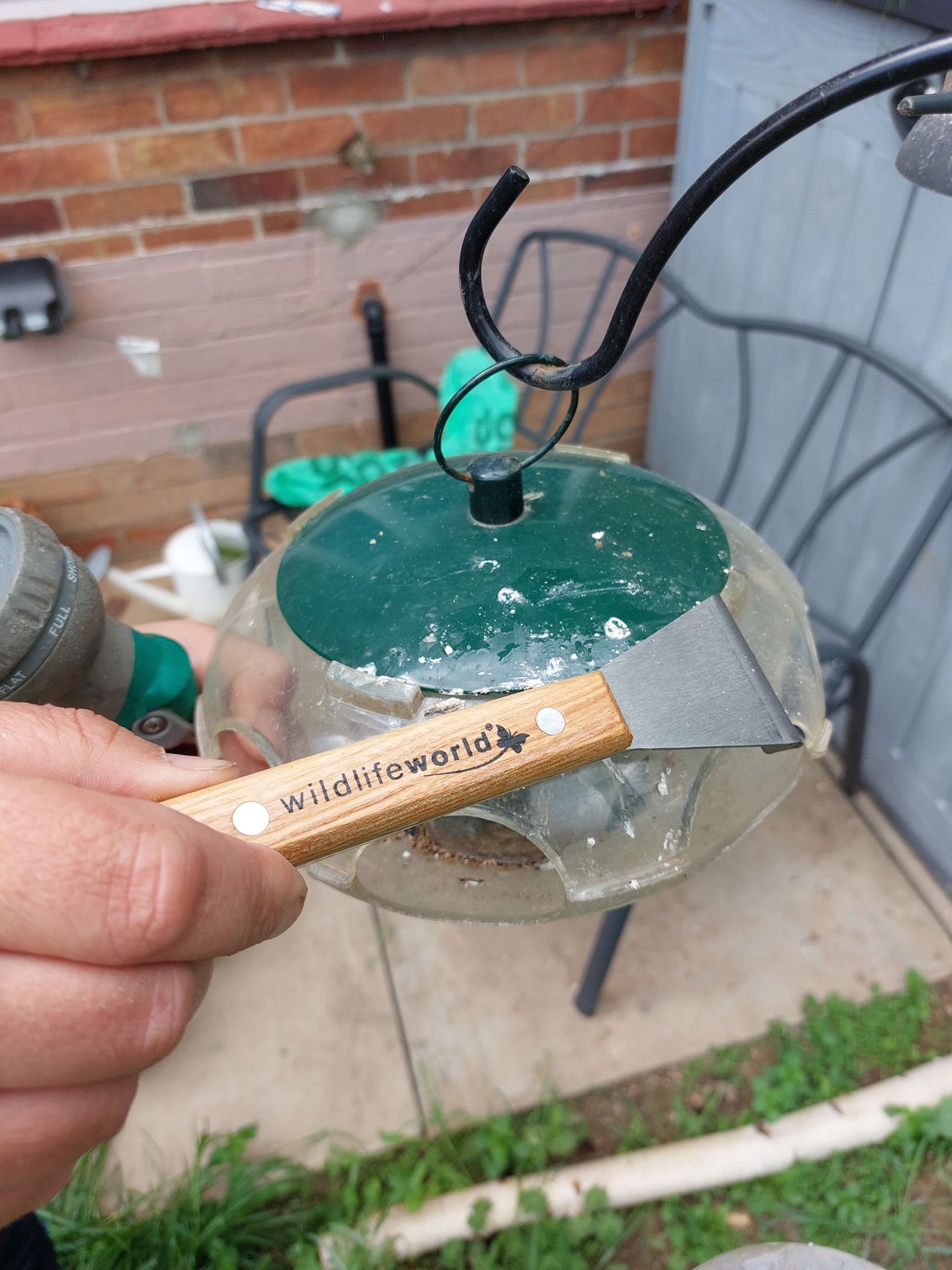 cleaning bird table 