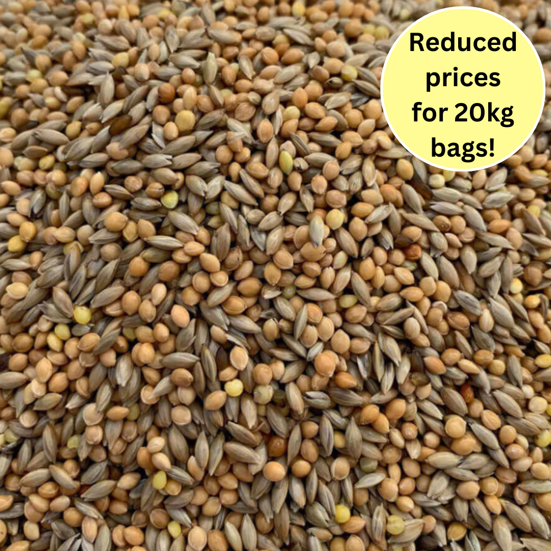 Budgie Breeders 50/50 Seed Mix