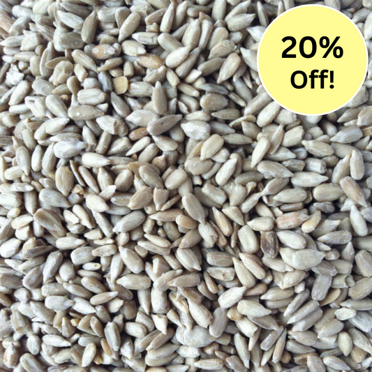 Sunflower Hearts (Premium Quality) for cage birds