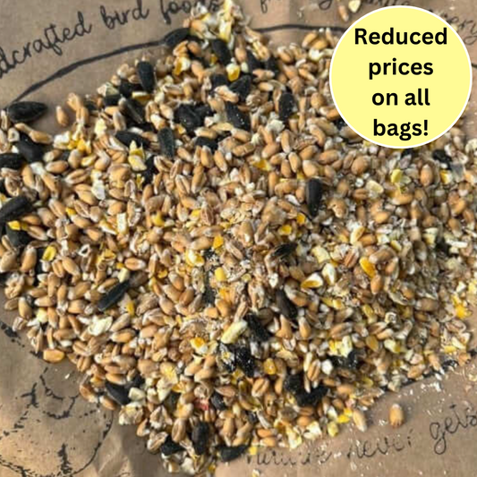 Cheap 'n' cheerful - Budget-Friendly Wild Bird Seed Mix