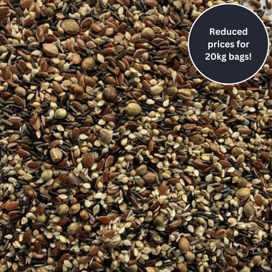 Condition Seed™ for Canaries, Hybrids and British Birds