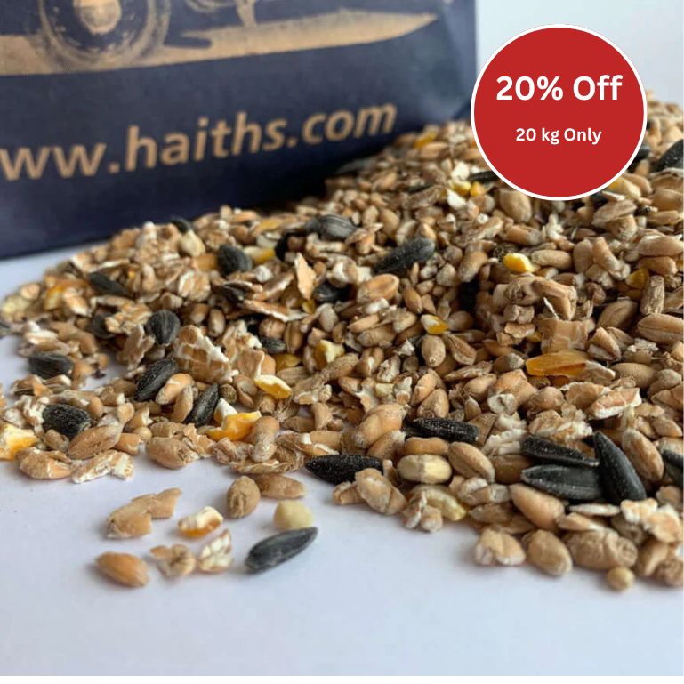 A close-up of a loose pile of mixed whole grains and seeds on a white surface.