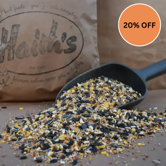 Premium Wheat-Free Bird Seed Mix - Now with Peanut Granules