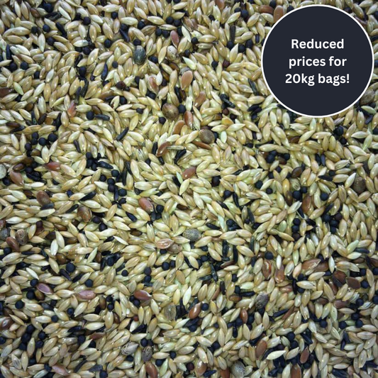 De luxe canary bird seed for cage birds in the UK direct from Haith's. 