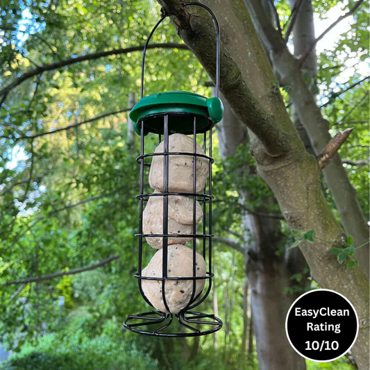 Bird feeder with seed balls hanging from a tree