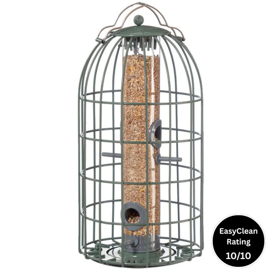 Green wire caged seed feeder