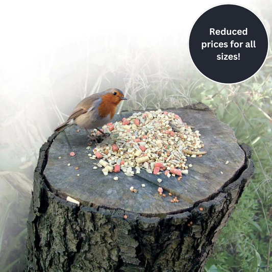 Redued prices on Haith's bird food for Robins with suet pellets, dried mealworms and softfoods for our favourite garden bird in the UK. 