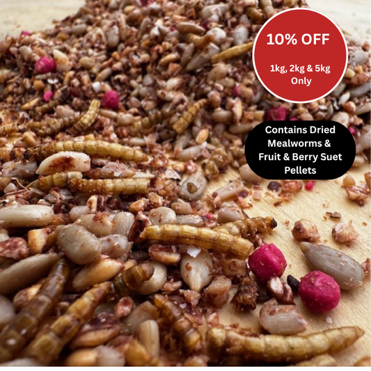 Bird seed mix with dried mealworms, fruit, and berry suet pellets on a wooden surface, with promotional text overlay.
