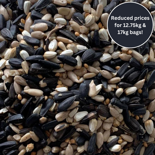 High-Energy Bird Feeder Seed Blend